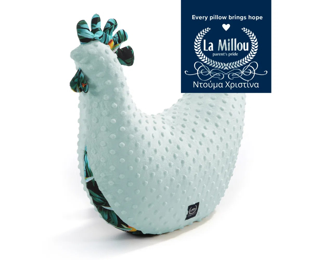 Μαξιλάρι Θηλασμού Special Kura Colibri Smoke Mint La Millou